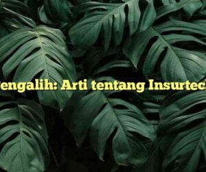 Pengalih: Arti tentang Insurtech