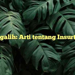 Pengalih: Arti tentang Insurtech