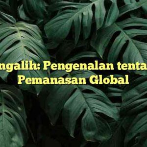 Pengalih: Pengenalan tentang Pemanasan Global