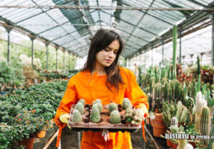 peluang usaha agribisnis