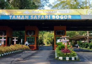 wisata taman safari bogor